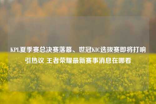 KPL夏季赛总决赛落幕、世冠KIC选拔赛即将打响引热议 王者荣耀最新赛事消息在哪看