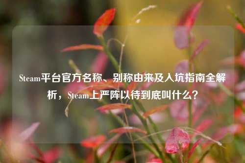 Steam平台官方名称、别称由来及入坑指南全解析，Steam上严阵以待到底叫什么？
