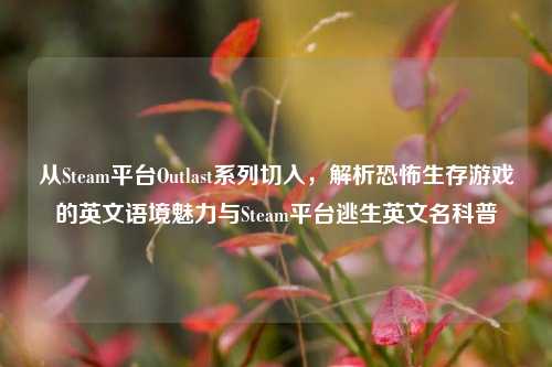从Steam平台Outlast系列切入，解析恐怖生存游戏的英文语境魅力与Steam平台逃生英文名科普