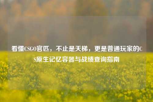 看懂CSGO官匹，不止是天梯，更是普通玩家的CS原生记忆容器与战绩查询指南