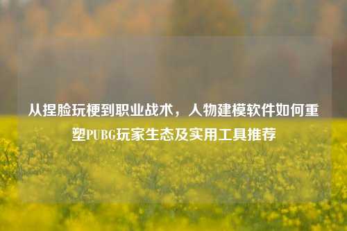 从捏脸玩梗到职业战术,人物建模软件如何重塑PUBG玩家生态及实用工具推荐