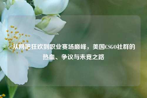 从网吧狂欢到职业赛场巅峰，美国CSGO社群的热血、争议与未竟之路