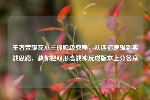 王者荣耀花木兰保姆级教程,从连招逻辑到实战思路,教你把双形态战神玩成版本上分答案