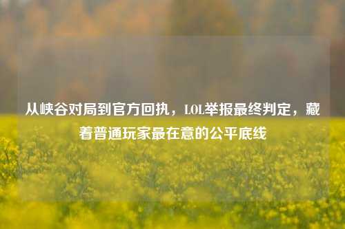 从峡谷对局到官方回执，LOL举报最终判定，藏着普通玩家最在意的公平底线