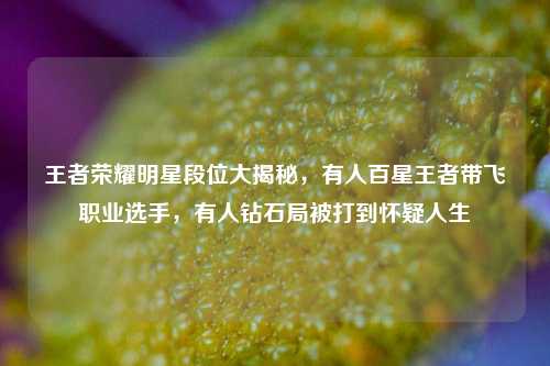 王者荣耀明星段位大揭秘，有人百星王者带飞职业选手，有人钻石局被打到怀疑人生