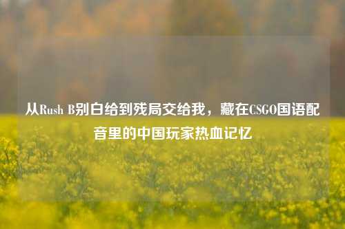 从Rush B别白给到残局交给我,藏在CSGO国语配音里的中国玩家热血记忆