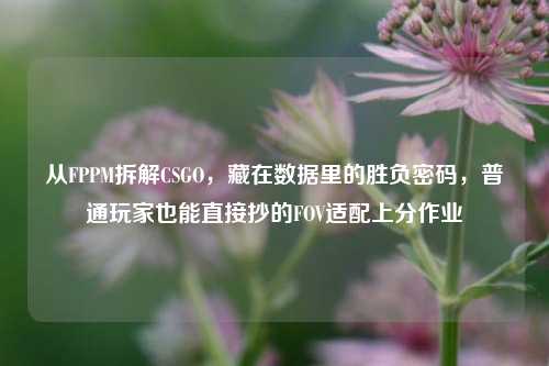 从FPPM拆解CSGO，藏在数据里的胜负密码，普通玩家也能直接抄的FOV适配上分作业