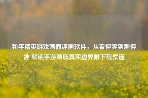 和平精英游戏画面评测软件,从看得爽到测得准 解锁手游画质真实边界附下载渠道