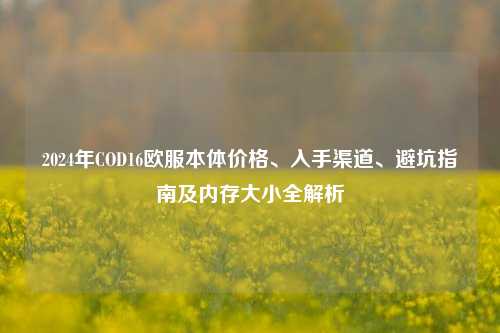 2024年COD16欧服本体价格、入手渠道、避坑指南及内存大小全解析