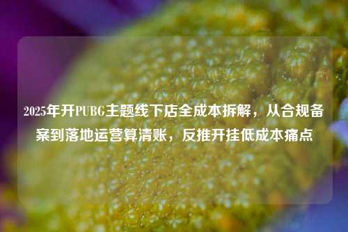 2025年开PUBG主题线下店全成本拆解,从合规备案到落地运营算清账,反推开挂低成本痛点