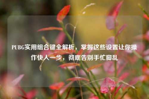 PUBG实用组合键全解析，掌握这些设置让你操作快人一步，彻底告别手忙脚乱