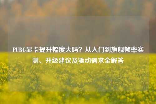 PUBG显卡提升幅度大吗？从入门到旗舰帧率实测、升级建议及驱动需求全解答