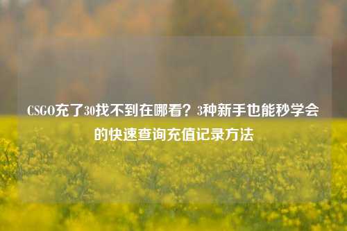 CSGO充了30找不到在哪看?3种新手也能秒学会的快速查询充值记录方法