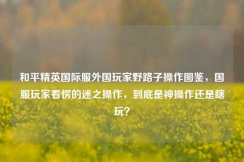 和平精英国际服外国玩家野路子操作图鉴,国服玩家看愣的迷之操作,到底是神操作还是瞎玩?