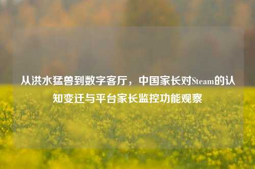 从洪水猛兽到数字客厅,中国家长对Steam的认知变迁与平台家长监控功能观察
