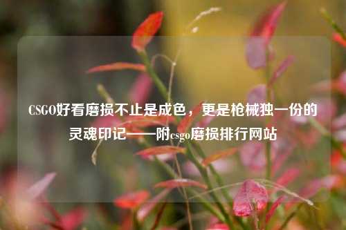 CSGO好看磨损不止是成色,更是枪械独一份的灵魂印记——附csgo磨损排行网站