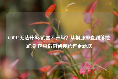 COD16无法升级/武器不升级？从根源排查到落地解决 这篇指南帮你跨过更新坎