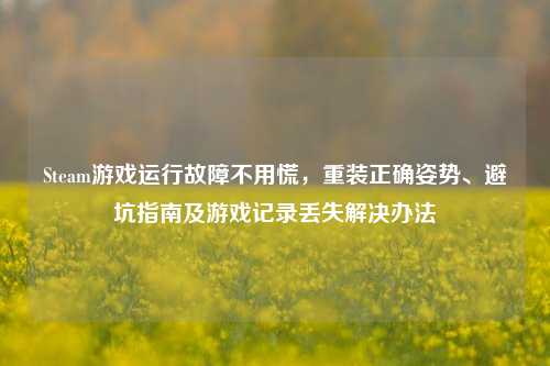 Steam游戏运行故障不用慌，重装正确姿势、避坑指南及游戏记录丢失解决办法