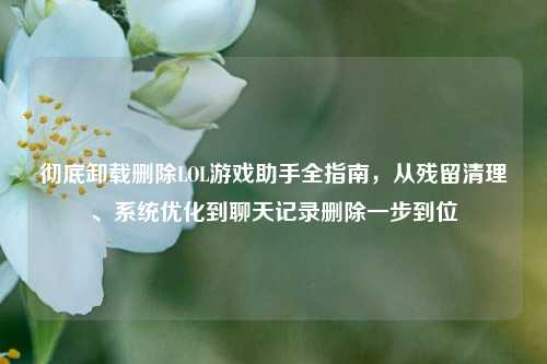 彻底卸载删除LOL游戏助手全指南,从残留清理、系统优化到聊天记录删除一步到位