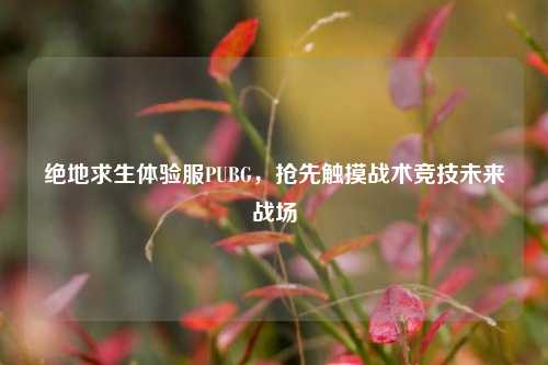 绝地求生体验服PUBG,抢先触摸战术竞技未来战场