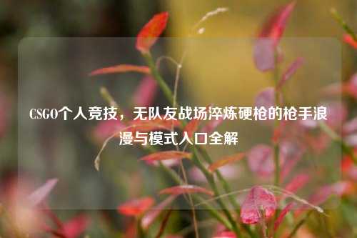 CSGO个人竞技,无队友战场淬炼硬枪的枪手浪漫与模式入口全解