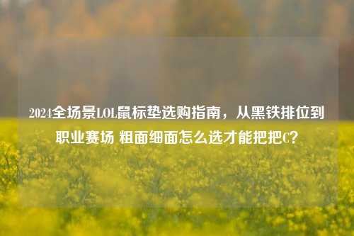 2024全场景LOL鼠标垫选购指南,从黑铁排位到职业赛场 粗面细面怎么选才能把把C?