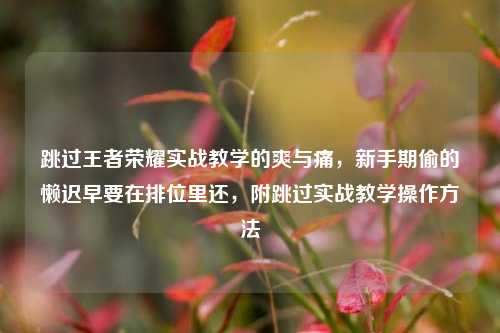 跳过王者荣耀实战教学的爽与痛，新手期偷的懒迟早要在排位里还，附跳过实战教学操作方法
