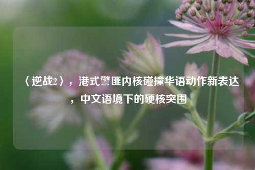 〈逆战2〉,港式警匪内核碰撞华语动作新表达,中文语境下的硬核突围