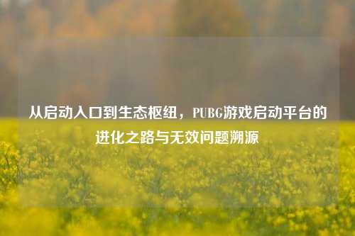 从启动入口到生态枢纽，PUBG游戏启动平台的进化之路与无效问题溯源