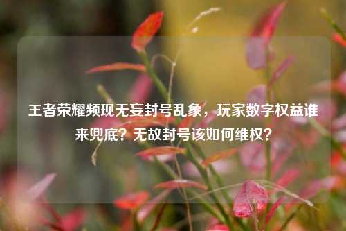 王者荣耀频现无妄封号乱象，玩家数字权益谁来兜底？无故封号该如何维权？