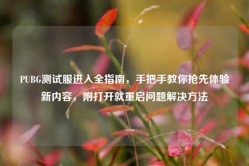 PUBG测试服进入全指南，手把手教你抢先体验新内容，附打开就重启问题解决方法