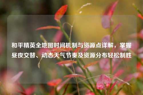 和平精英全地图时间机制与资源点详解，掌握昼夜交替、动态天气节奏及资源分布轻松制胜