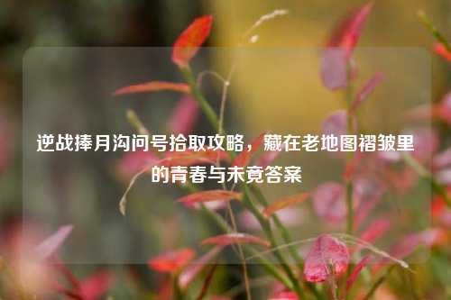 逆战捧月沟问号拾取攻略，藏在老地图褶皱里的青春与未竟答案