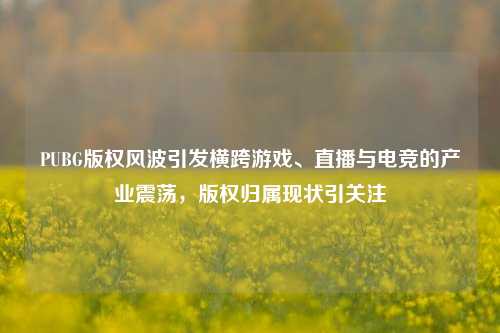 PUBG版权风波引发横跨游戏、直播与电竞的产业震荡，版权归属现状引关注