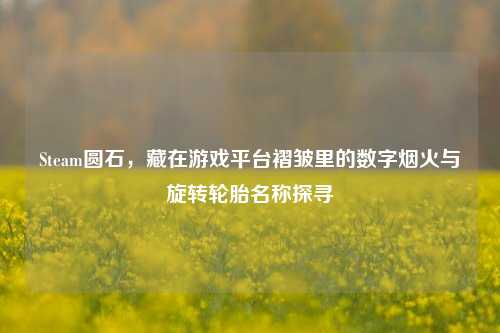 Steam圆石，藏在游戏平台褶皱里的数字烟火与旋转轮胎名称探寻