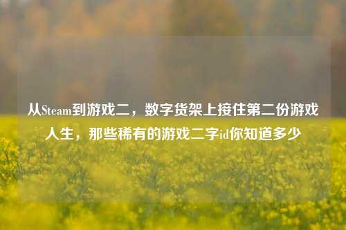 从Steam到游戏二，数字货架上接住第二份游戏人生，那些稀有的游戏二字id你知道多少