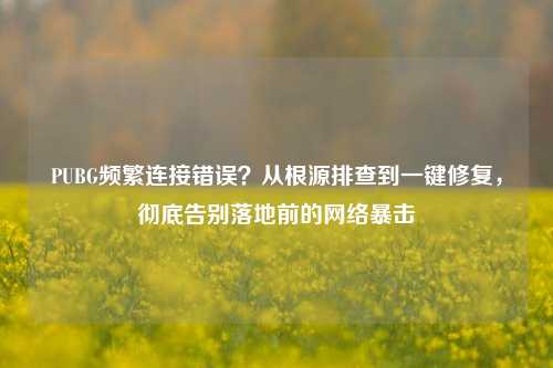 PUBG频繁连接错误？从根源排查到一键修复，彻底告别落地前的网络暴击