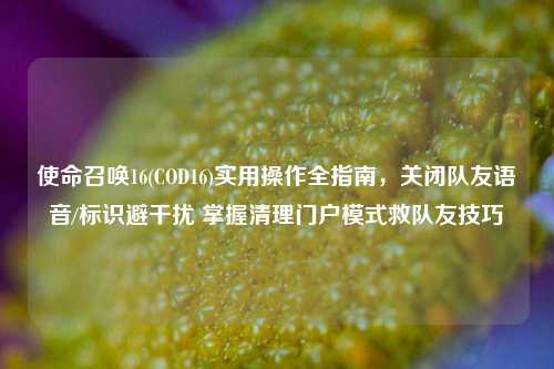 使命召唤16(COD16)实用操作全指南，关闭队友语音/标识避干扰 掌握清理门户模式救队友技巧