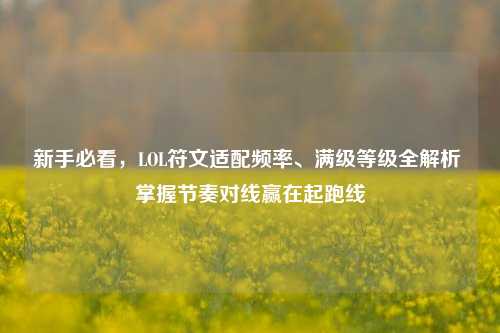 新手必看，LOL符文适配频率、满级等级全解析 掌握节奏对线赢在起跑线