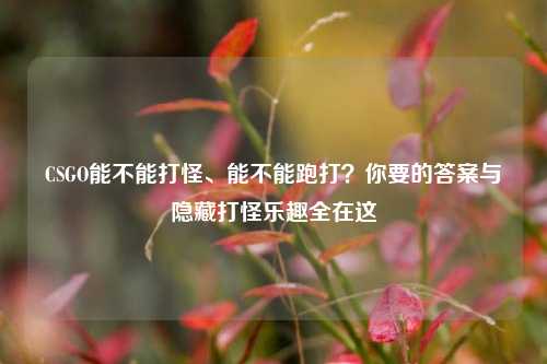 CSGO能不能打怪、能不能跑打？你要的答案与隐藏打怪乐趣全在这