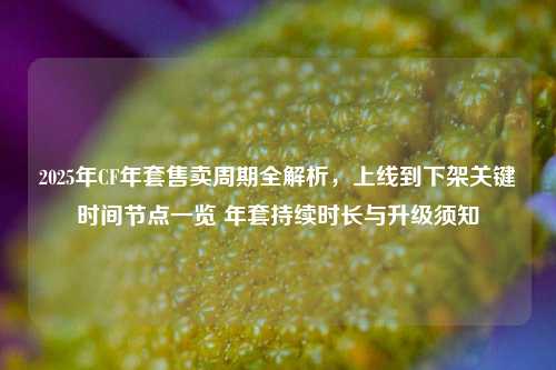 2025年CF年套售卖周期全解析，上线到下架关键时间节点一览 年套持续时长与升级须知