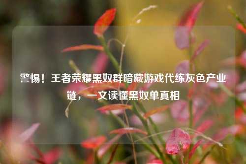 警惕！王者荣耀黑奴群暗藏游戏代练灰色产业链，一文读懂黑奴单真相