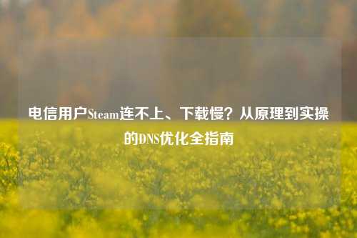 电信用户Steam连不上、下载慢？从原理到实操的DNS优化全指南