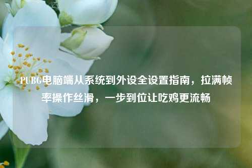 PUBG电脑端从系统到外设全设置指南，拉满帧率操作丝滑，一步到位让吃鸡更流畅