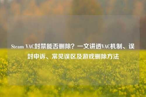 Steam VAC封禁能否删除？一文讲透VAC机制、误封申诉、常见误区及游戏删除方法