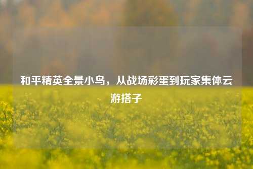 和平精英全景小鸟，从战场彩蛋到玩家集体云游搭子