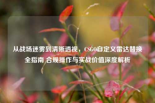 从战场迷雾到清晰透视，CSGO自定义雷达替换全指南 合规操作与实战价值深度解析