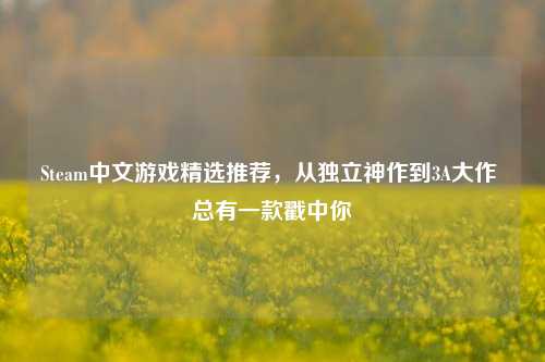 Steam中文游戏精选推荐，从独立神作到3A大作 总有一款戳中你