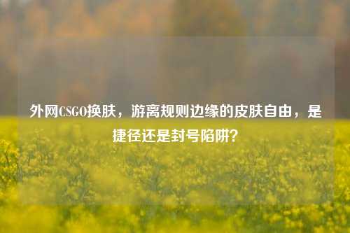 外网CSGO换肤，游离规则边缘的皮肤自由，是捷径还是封号陷阱？
