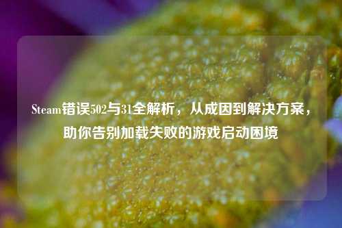 Steam错误502与31全解析，从成因到解决方案，助你告别加载失败的游戏启动困境